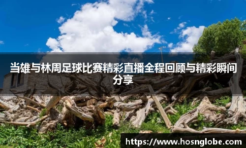 当雄与林周足球比赛精彩直播全程回顾与精彩瞬间分享