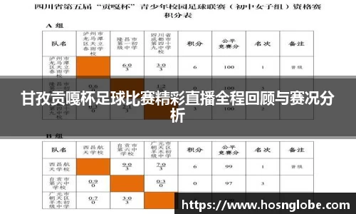 甘孜贡嘎杯足球比赛精彩直播全程回顾与赛况分析