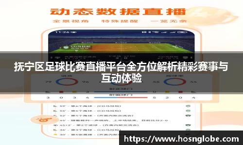 抚宁区足球比赛直播平台全方位解析精彩赛事与互动体验