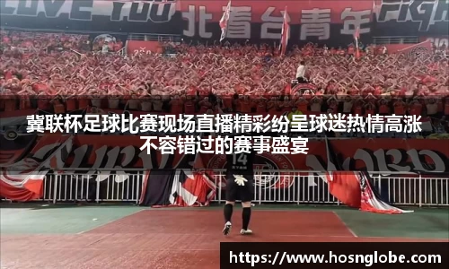 冀联杯足球比赛现场直播精彩纷呈球迷热情高涨不容错过的赛事盛宴