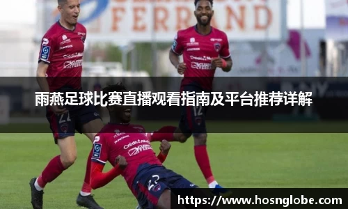 雨燕足球比赛直播观看指南及平台推荐详解